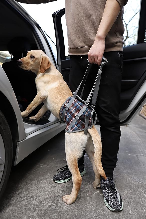 ROZKITCH Dog Lift Harness, Grid Pet Rear Support Aid Veterinarian Approved Sling for Old K9 Help with Poor Stability, Back Leg Hip Disabled Joint Injury Elderly Arthritis ACL Rehabilitation Rehab
