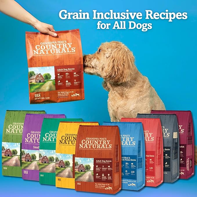 Grandma Mae’s Country Naturals Dry Dog Food, Adult Sensitive Stomach Formula, Chicken & Brown Rice, Slow Cooked & Nutrient Dense, Made in USA, 4 LB Bag