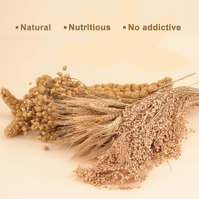 Hamster Organic Sprays Set = Wheat + Flax + Yellow Millet + Panicle Millet, Pet Habitat Bedding Decor, Natural Hamster Chews Accessories Supplies, for Gerbil, Mice, Guinea Pig, Chinchilla, 4 sprays
