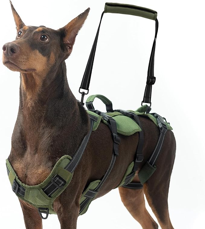 BINGPET Dog Lift Harness for Large Dogs,Full Body Support Rehabilitation Dog Sling Carrier with Handles,Reflective Multifunctional Mobility Assistance Vest for Senior Pets Joint Injuries,Arthritis,L