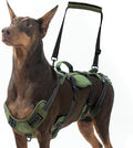BINGPET Dog Lift Harness for Large Dogs,Full Body Support Rehabilitation Dog Sling Carrier with Handles,Reflective Multifunctional Mobility Assistance Vest for Senior Pets Joint Injuries,Arthritis,L