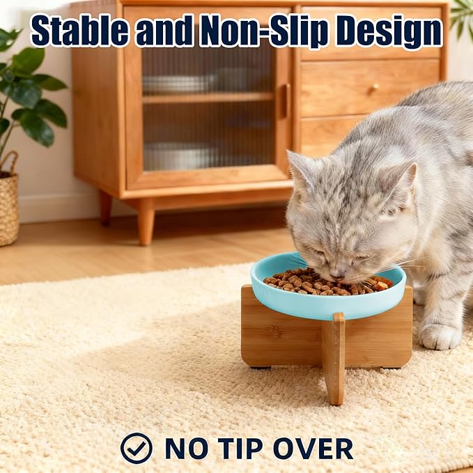 Shallow Elevated Cat Bowls with Bamboo Stand, 6.1 Inch Wide Ceramic Cat Dish Whisker Friendly, 2 Pack Pet Food and Water Plates
