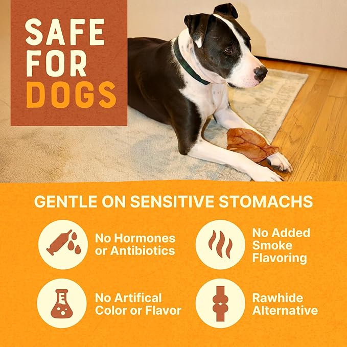 Gaines Pet Pig Ears for Dogs – 100 Pack, All-Natural Whole Ears – No Additives or Hormones, Rawhide Alternative, Supports Dental Health, Easily Digestible Treat for Small to Large Dogs