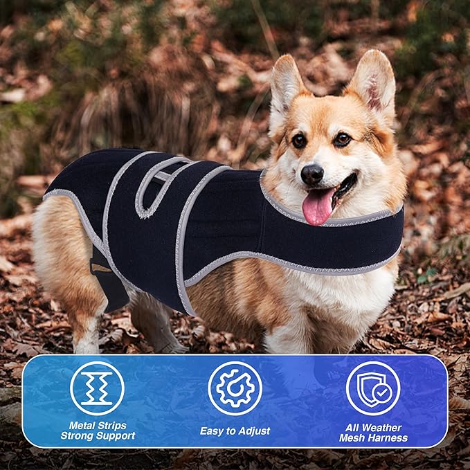 Dog Back Brace for IVDD, Joint Discomfort, Furtent Small Support Harness for Dachshund Recovery, Spinal Relief & Back Stability (S)