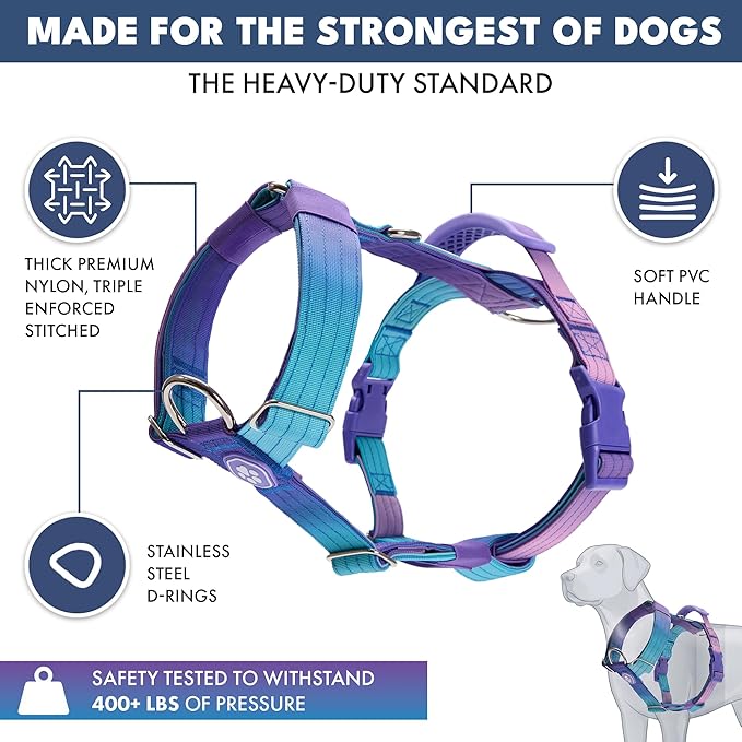 Spark Paws No Pull Dog Harness with Handle for Large Dogs, Heavy Duty Dog Harness for Big Strong Breeds, Adjustable, Y Shaped Padded Halter Design with Front Clip - 90s Retro - L