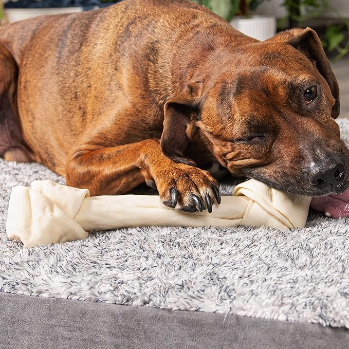 Pet Factory American Beefhide 12" Knotted Bone Dog Chew Treat - Natural Flavor, 1 Count/2 Pack