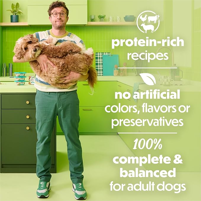 Purina Beneful Protein Gravy Wet Dog Food Variety Pack Freshly Prepared Meals Stew - (Pack of 6) 10 oz. Tubs