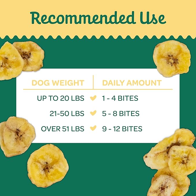 Wholesome Pride Banana Bites Dog Treats – 2-Ingredient Banana Chips for Dogs, Grain-Free, Banana & Coconut Oil, 16 oz