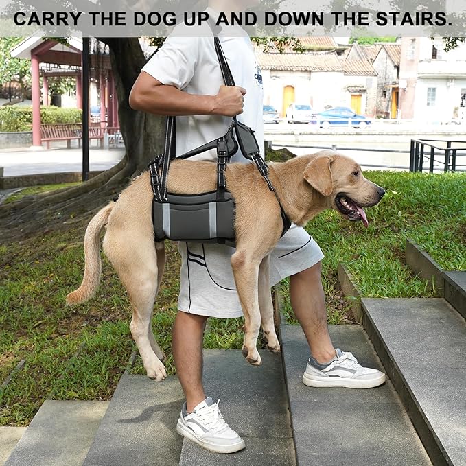 COODEO Mobility Dog Lift Harness, Emergency Carry Sling, Pet Rear Leg Support Rehabilitation Lifts Vest, Dog Carrier for Senior Dogs Joint Injuries, Arthritis (Military Green, XL)
