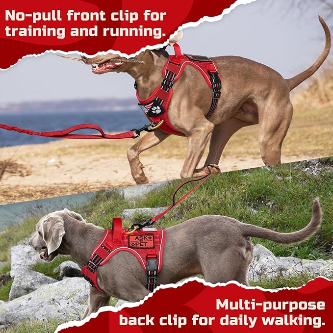 rabbitgoo Tactical Dog Harness for Small Dogs, No Pull Military Service Vest with Handle & Molle, Easy Control for Training Walking, Adjustable Reflective Straps, Red, S