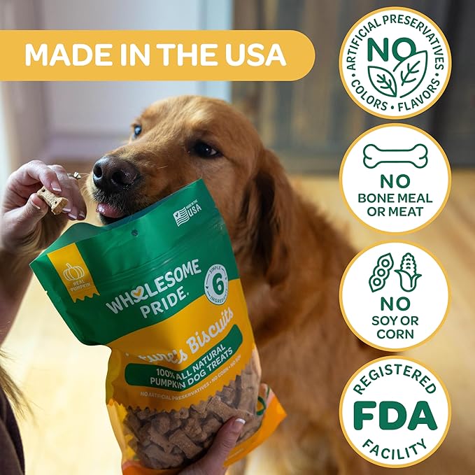 Wholesome Pride Nature's Biscuits Mini Dog Treats, Pumpkin