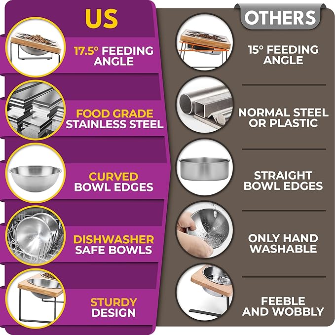 Raised cat Bowls for Indoor Cats by WinTruffles, Elevated cat Bowls, Tilted and Elevated Anti Vomiting Cat Dishes for Food and Water, Set of 3 Stainless Steel Bowl