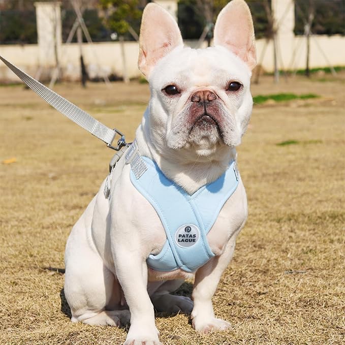 Patas Lague Dog Harness with Leash Set Adjustable Soft Padded Step-in Dog Vest No Choke No Pull Reflective for Small Pets with Poop Bags and Dispenser, Solid and No-chew, Blue XS