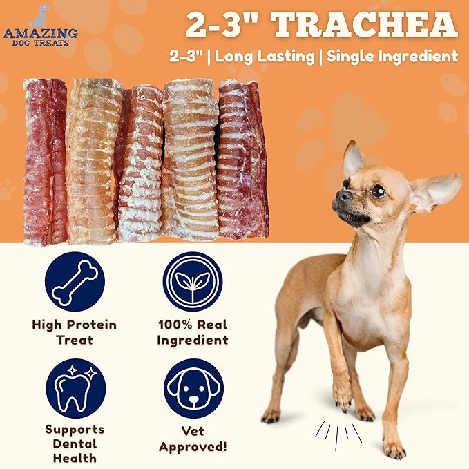 Amazing Dog Treats - 2-3 Inch Beef Trachea Rings (50 pcs/pck) - Premium Dog Chews- Great for Small Size Dogs - Excellent Source of Glucosamine and Chondroitin- Great for All Breeds