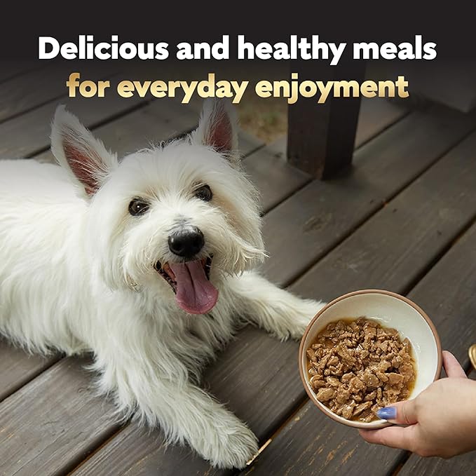 Cesar Filets in Gravy, Adult Wet Dog Food, Filet Mignon Flavor, Wet Food for Dogs, 3.5 oz Trays, 24 Count