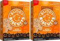 Buddy Biscuits Crunchy Wheat Free Halloween Dog Treats with Pumpkin, 14 oz. Box (Pack of 2)