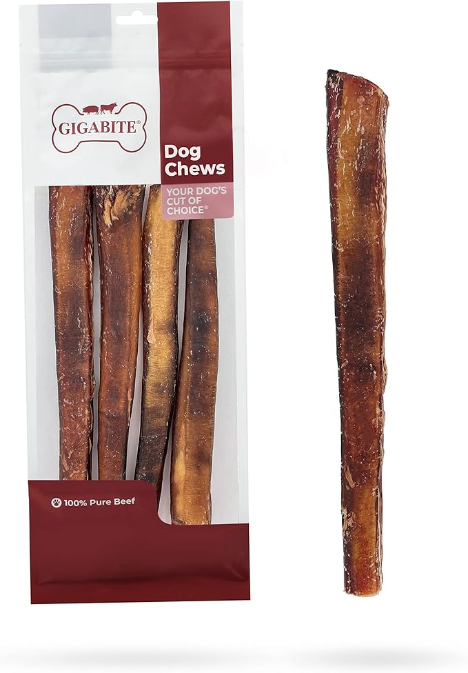 GigaBite Bully Sticks for Dogs All Natural Beef Pizzle Dog Chews, Odor & Rawhide Free Dog Treats, Long Lasting High Protein Chews Digestible Dental Dog Treat - Sticks (Monstrous 12"), Pack of 4