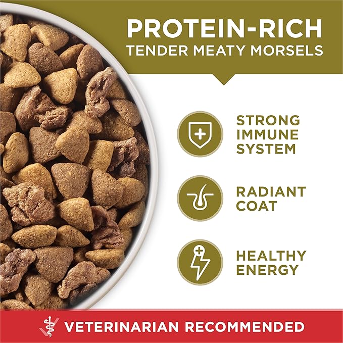 Purina ONE Dry Dog Food Lamb and Rice Formula - (Pack of 4) 4 lb. Bags