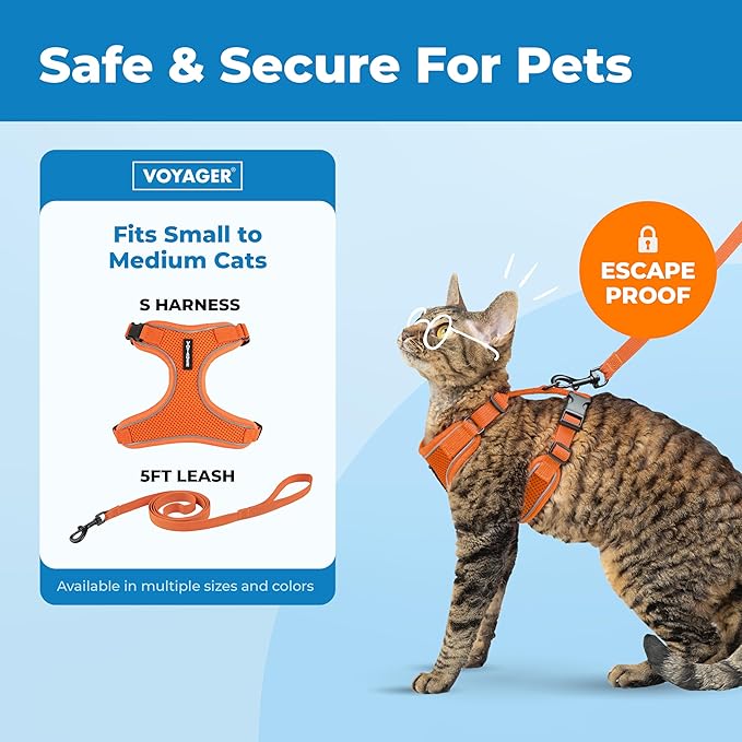 Voyager Escape-Proof Step-in Lock Cat Harness & 5ft Neoprene-Handle Leash Set All-Weather Mesh with Reflective Stitching for Small to Large Cats by Best Pet Supplies, Orange (327), M