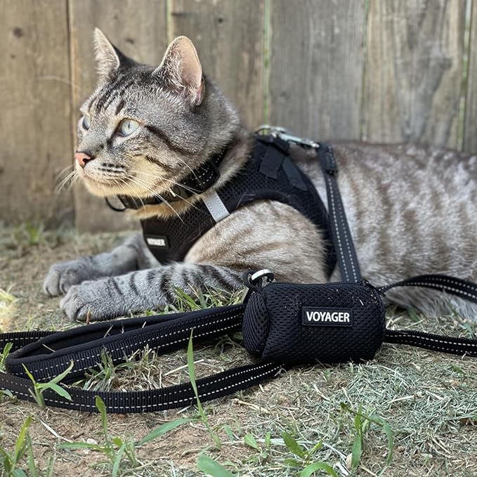 Best Pet Supplies Voyager Step-in Air Harness - All Weather Mesh, Reflective, No Pull Harness for Dogs, Cats - Secure with Hook & Loop Fastener, Buckle, Double D-Rings - Black, XXXS