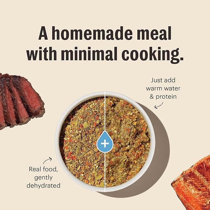 The Honest Kitchen Human Grade Wholemade™ Dehydrated Dog Food, Whole Grain, Veggie & Fruit Base Mix Dog Food (Just Add Protein), 7 lb (makes 28lbs)