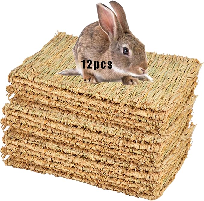Hamiledyi Grass Mat for Rabbit Bunny Chew Toys Woven Bed Mat for Guinea Pig Chinchilla Squirrel Hamster Cat Dog and Small Animal (12PCS Grass mat)