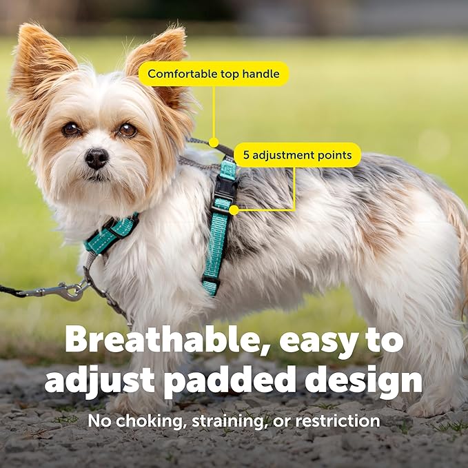 PetSafe 3 in 1 No-Pull Dog Harness for Small Dogs- Walk, Train or Travel - Helps Pets from Pulling on Walks - Seatbelt Loop Doubles as Quick Access Handle - Reflective- Extra Small, Teal