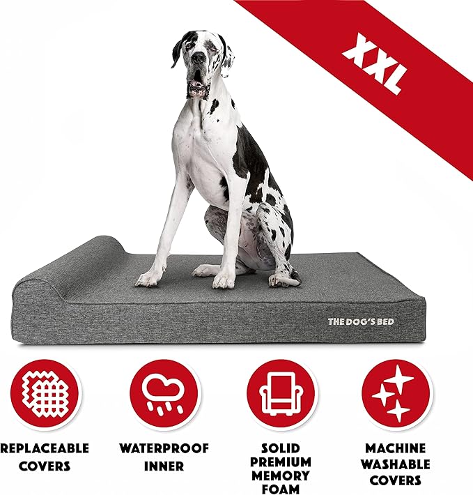The Dog’s Bed Orthopedic Memory Foam Dog Bed with Headrest, Calming Surface – CertiPUR-Certified Foam, Linen Fabric, Grey Linen, XXL, 6-Inch
