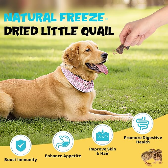 Freeze Dried Quail Treats for Dogs & Cats – Single Ingredient, High Protein Dog Treats, Grain Free, Easy Digestion, Healthy Training Rewards for Dogs & Cats, 3 oz