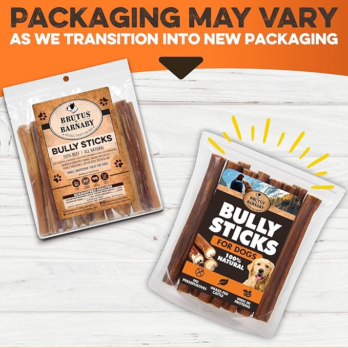 BRUTUS & BARNABY 6 Inch Bully Sticks for Dogs (100 Count) - Natural Grass-Fed Beef Chew Sticks, Odor Free, Single Ingredient, Fully Digestible, Rawhide Free - Bulk Pack for Small, Medium & Large Dogs