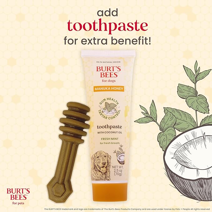 BURT'S BEES FOR PETS Dental Treats for Dogs with Manuka Honey & Ginger, Holistic, Plant-Based Oral Care, 98% Natural Origin Formulas, Peanut Butter Flavor, Dog Treats Medium Dogs, Sz Md/Lg 5ct, 7 oz