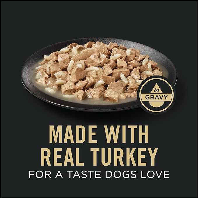 Purina Pro Plan Sensitive Skin and Stomach Turkey and Oat Meal Entree in Gravy Dog Food - 13 oz. Can