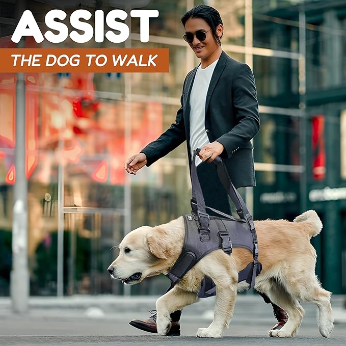 Doggie Stylz Dog Lift Harness for Large Dogs Full Body Support Sling Dog Carrier has Adjustable Handles Recovery Vest for Senior Dogs, Arthritis Joint Injuries, Mobility Aid Back Leg Support (Medium)
