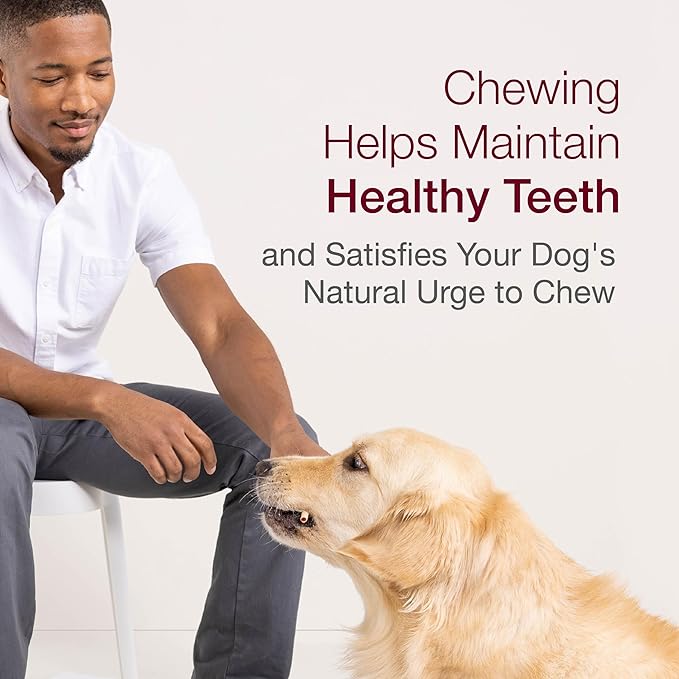 SmartBones SmartSticks, Treat Your Dog to a Rawhide-Free Chew Made with Real Chicken and Vegetables,10 Sticks (Pack of 2)