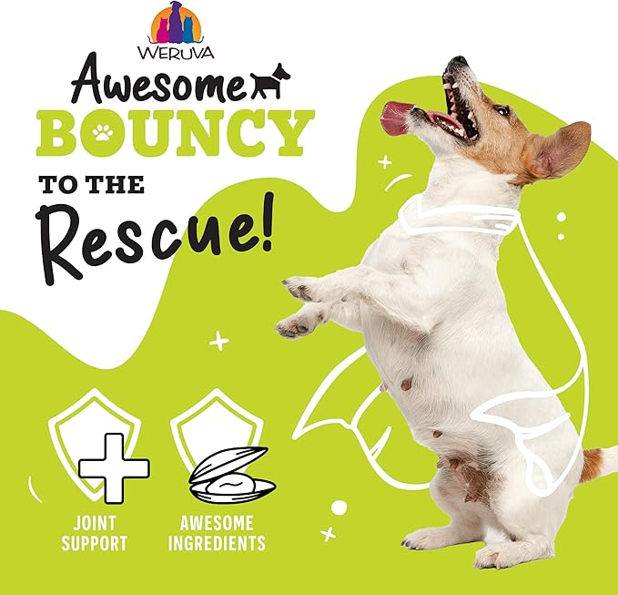 Weruva Awesome Bouncy Wet Dog Food, Beef & Brown Rice, 14oz Can (Pack of 10)