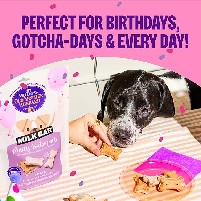 Wellness Old Mother Hubbard Milk Bar P'Nutty B-Day Party, Small Dog Treats, Crunchy Peanut Butter Biscuits with Birthday Icing (10 Ounce Bag)