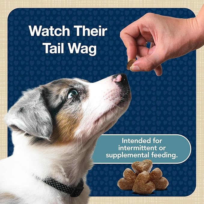 Blue Buffalo Blue Bits Natural Soft-Moist Training Dog Treats, Turkey 4-oz (6 Pack)