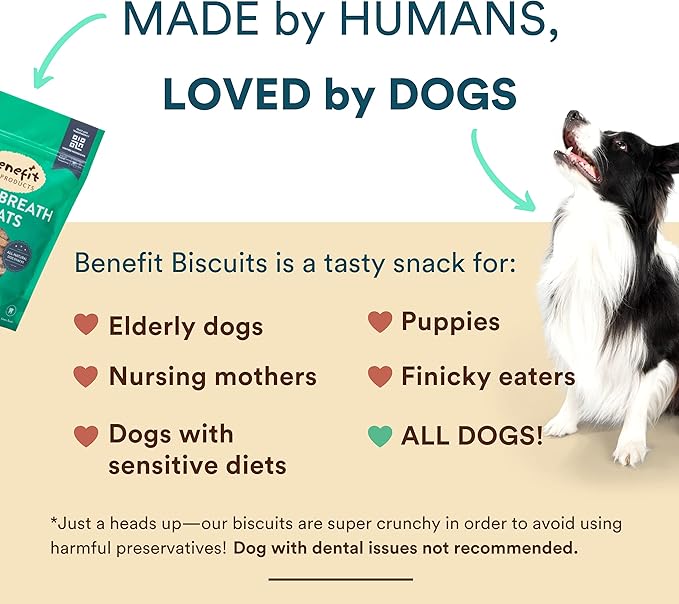 Benefit Biscuits, All Natural Dog Treats, Certified Vegan, Non GMO, Wheat Free, Healthy Dog Biscuits, Made in USA (Mint, 7oz Bag)