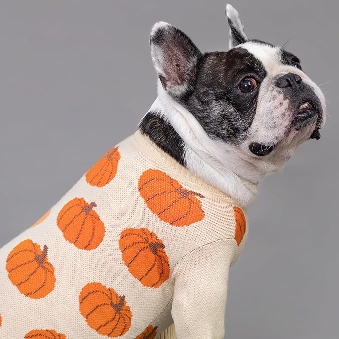 Fitwarm Pumpkin Dog Sweater, Thanksgiving Outfit for Small Dogs Boy Girl, Pet Outfit, Orange, Beige, XXL
