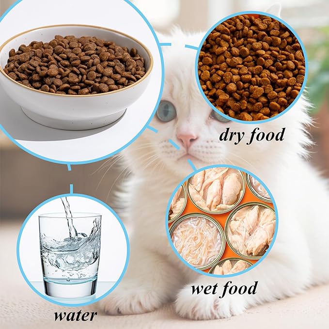 Cat Bowl Set of 3, Non Slip Dish Pet Cat Food Bowls, Shallow Water Bowl Cat Feeding Wide Bowls to Stress Relief of Whisker Fatigue, Pet Bowl for Dogs Rabbits Puppy Birds(Safe Food-Grade Ceramic) Gray