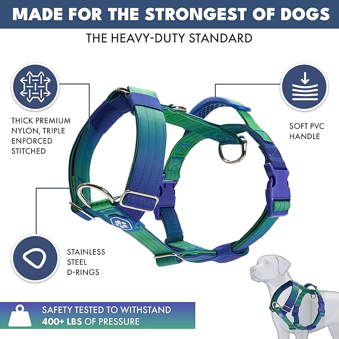 Spark Paws No Pull Dog Harness with Handle for Large Dogs, Heavy Duty Dog Harness for Big Strong Breeds, Adjustable, Y Shaped Padded Halter Design with Front Clip - Lime Wave - M