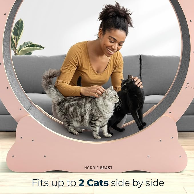 Nordic Beast Pink 48'' XL Cat Wheel – Safe, Quiet & Stable Exercise Wheel for Large Indoor Cats up to 45 lbs – 15.7'' Extra-Wide Surface Fits 2 Cats Side by Side & Prevents Wobbling, 1-Year Warranty