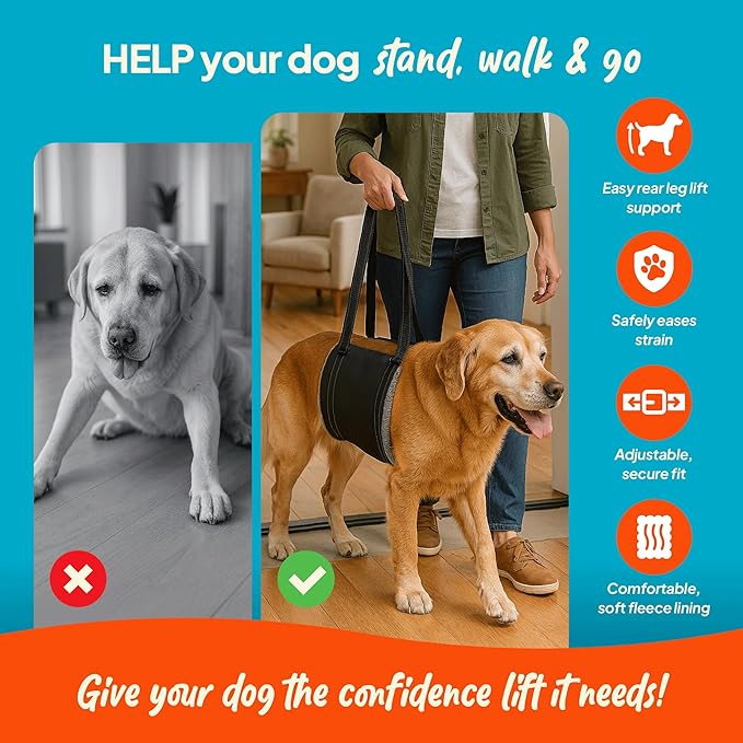 Dog Lifting Harness - Mobility Sling for Weak Back Legs - Rear Support with Soft Fleece Pad, Adjustable Straps & Padded Handle for Recovery & Senior Dogs - Machine Washable (Size L)