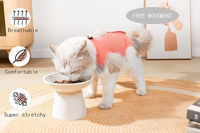 Cat Recovery Suit Female Kitten Onesie for Cats After Surgery Female Spay Surgical Abdominal Wound Skin Diseases Cone Collar Soft Alternative Wear (Orange, M)