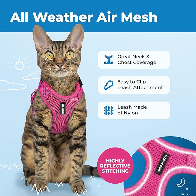 Voyager Escape-Proof Step-in Lock Cat Harness & 5ft Neoprene-Handle Leash Set All-Weather Mesh with Reflective Stitching for Small to Large Cats by Best Pet Supplies, Fuchsia (327), M