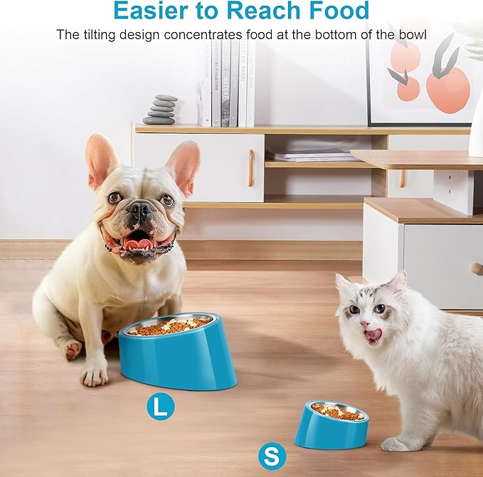 Tilted Dog Bowl Non-Slip & Non-Spill Pet Feeder with Elevated Detachable Melamine Stand, Easy to Get Food Dog Dish, S/100ml Blue