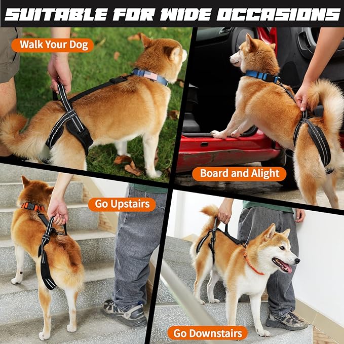 ROZKITCH Pet Dog Support Harness Rear Lifting Harness for Back Legs Reflective Dog Sling Vet Approved for Old Helps with Poor Stability Hind Legs, Joint Injuries Elderly Arthritis ACL Rehab Black M