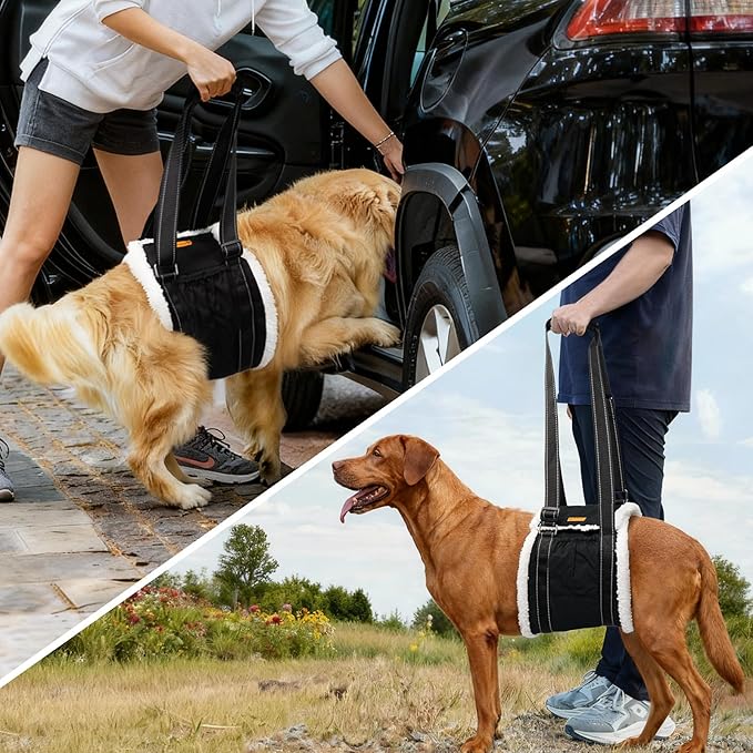 LumoLeaf Dog Lift Harness Sling for Back Legs, Adjustable Rear Leg Support & Mobility Aid, Hip Support for Senior/Disabled Dogs, Soft Fleece Lining, Padded Handles, for CCL/ACL Surgery (Extra Large)
