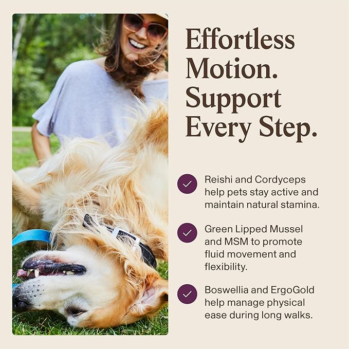 Real Mushrooms Mobility Chews for Dogs & Cats – Green Lipped Mussel & ErgoGold Mushroom Blend – Dogs & Cat Vitamins Treats for Active Routines – Joint, Hip & Flexibility Support – 240 ct Supplement
