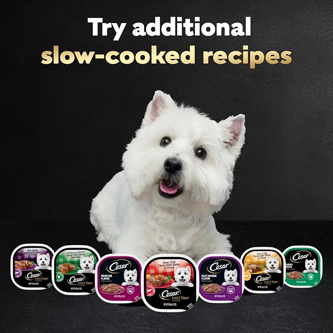 Cesar Loaf & Topper in Sauce Wet Dog Food, Rotisserie Chicken Flavor with Bacon & Cheese, Wet Food for Dogs, 3.5 oz Easy Peel Trays, 24 Count